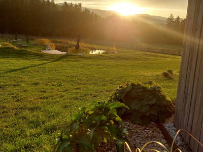 Bild 130 aus  Pircherhof - Adults Only am Biobauernhof