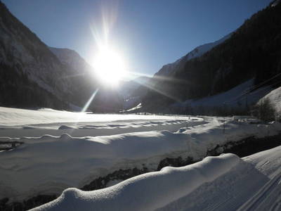 Bild 46 aus  Bio- und Kinderbauernhof Voglbach