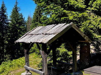 Bild 18 aus  Almhütten-Chalet "Almruhe" im Lesachtal