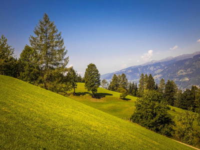 Bild 41 aus  Kohlschnait-Hof