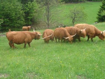 Bild 16 aus  Das Pumphaus