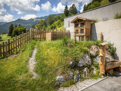 Bild 65 aus  Schaidreithof