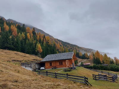 Bild 17 aus  Almhütte Huber