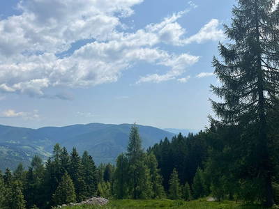 Bild 123 aus Neuwirth Hütte