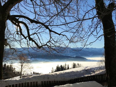 Bild 77 aus  Ferienbauernhof Schneider