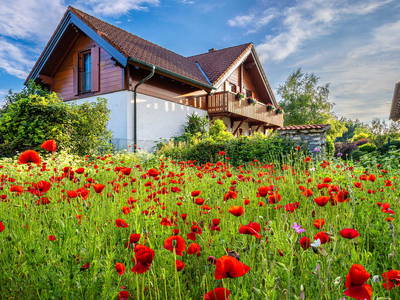 Bild 55 aus  Heumanns Blockhäuser am Wald