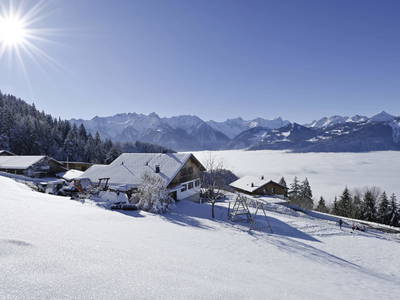 Bild 47 aus  Berghof