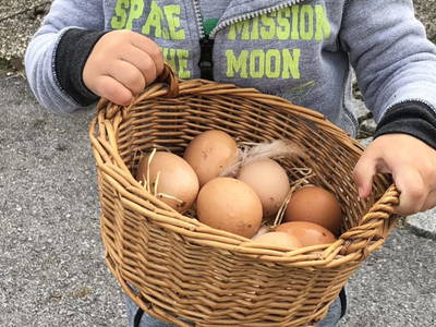 Bild 124 aus  Kinderbauernhof Albeineler Pitztal Tirol