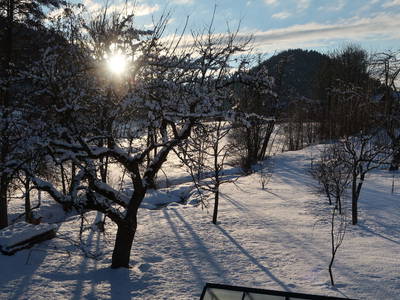 Bild 28 aus  Sturmhof