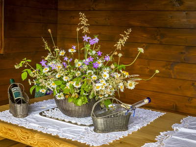 Bild 45 aus  Schwaigerlehen - Berngarten