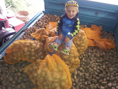 Bild 30 aus  Thürerhütte