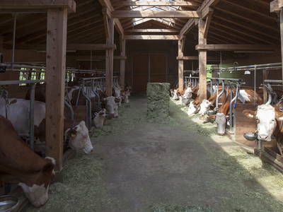 Bild 22 aus  Rieplerhof