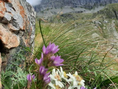 Bild 73 aus  Almhütte Pucher