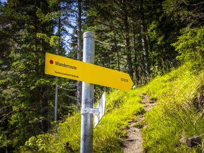 Bild 19 aus  Premhof