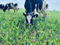 Bild 18 aus  Soodehof  Eins - Ihr Kinder-Erlebnisbauernhof in Nordhessen