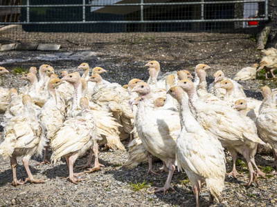 Bild 28 aus  Hochthron Suites