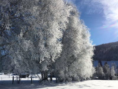 Bild 57 aus  Egglbauer