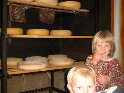 Bild 36 aus  Fergl's Hof