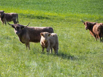 Bild 56 aus Ferienwohnungen Kagerer