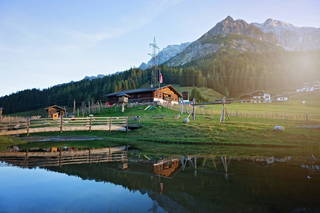 Dientalm aus Mühlbach am Hochkönig