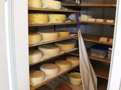 Bild 105 aus  Schwarzenbichlalm