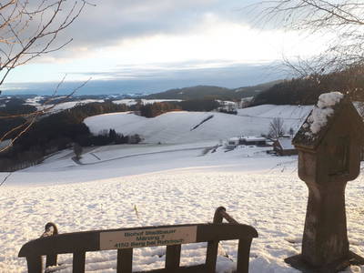 Bild 90 aus  Biohof Stadlbauer