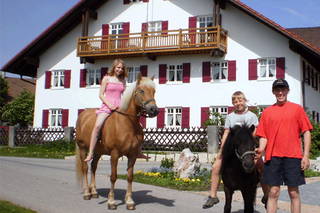 Hummelhof - Bild 2