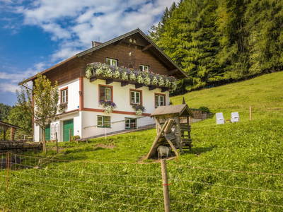 Bild 12 aus  Bambichl Hoamat