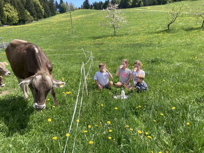 Bild 95 aus  Familie Nußbaumer 
