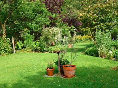 Bild 21 aus  Ferienwohnung Flender