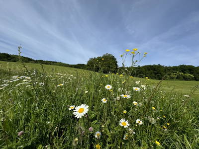 Bild 3 aus  Impuls Hof - Unterhegerberg