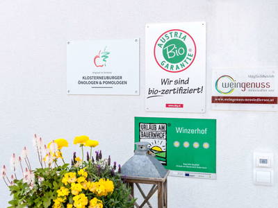 Bild 38 aus Remushof Jagschitz