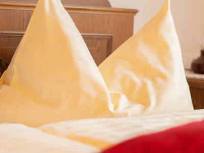 Bild 45 aus  Bergbauernhof Familie Ofner