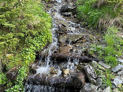 Bild 168 aus Neuwirth Hütte