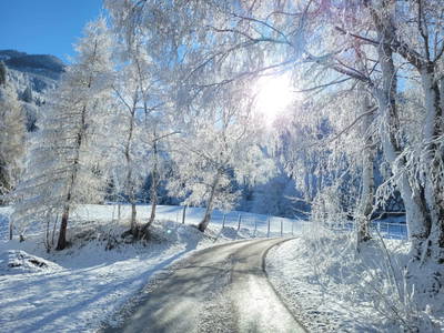 Bild 224 aus  Der Perweinhof