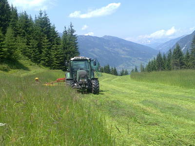 Bild 104 aus  Bio-Bauernhof Schweizerhof