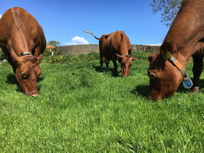 Bild 2 aus  Ferienhof Greggersen