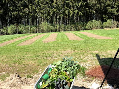 Bild 44 aus  Wastlbauer 