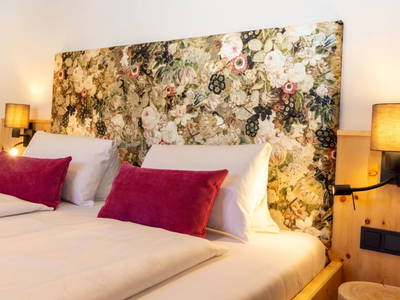 Bild 27 aus  Tritscherhof