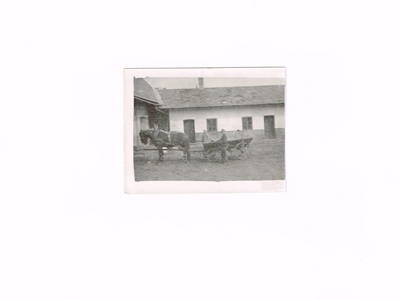 Bild 25 aus  Urlaubs - Weingut Kriegl