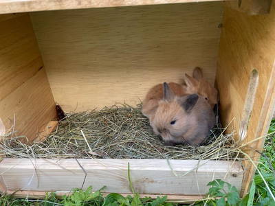 Bild 72 aus  Unterwöhrlehen