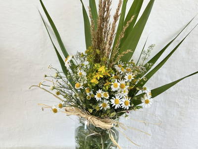 Bild 11 aus  Weingut-Gästehaus zum Schwalbennest