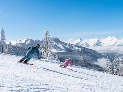 Bild 23 aus  Landhaus Tobhart