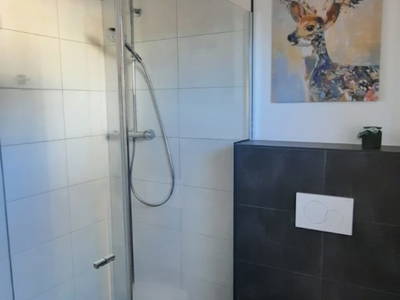 Bild 58 aus  Biobauernhof Mesneranderl