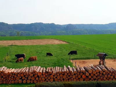 Bild 10 aus  Ferienhof Richter