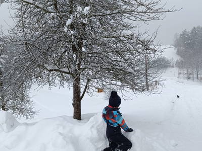 Bild 135 aus  Biohof Viertl