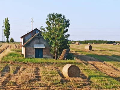 Bild 88 aus  Ferienhaus Weinviertel