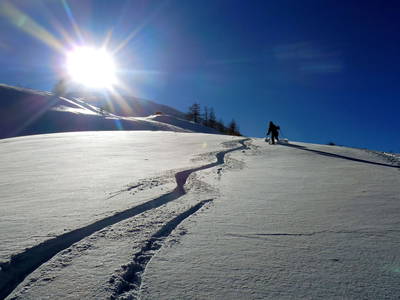 Bild 37 aus  Sportbauernhof Hochalmblick