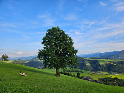 Bild 5 aus  Ferienhof Schneiderweg