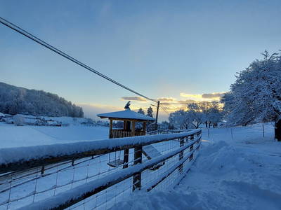 Bild 48 aus  Forstbauer